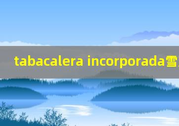 tabacalera incorporada雪茄价格